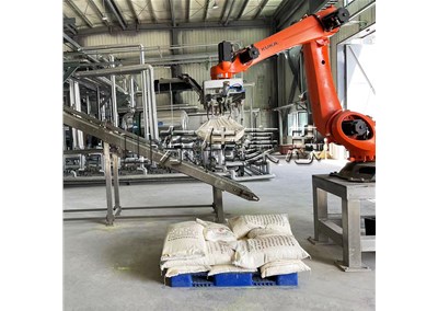 肥料自動拆垛機(jī)器人 拆垛機(jī)械手客戶現(xiàn)場
